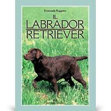 Il Labrador Retriver